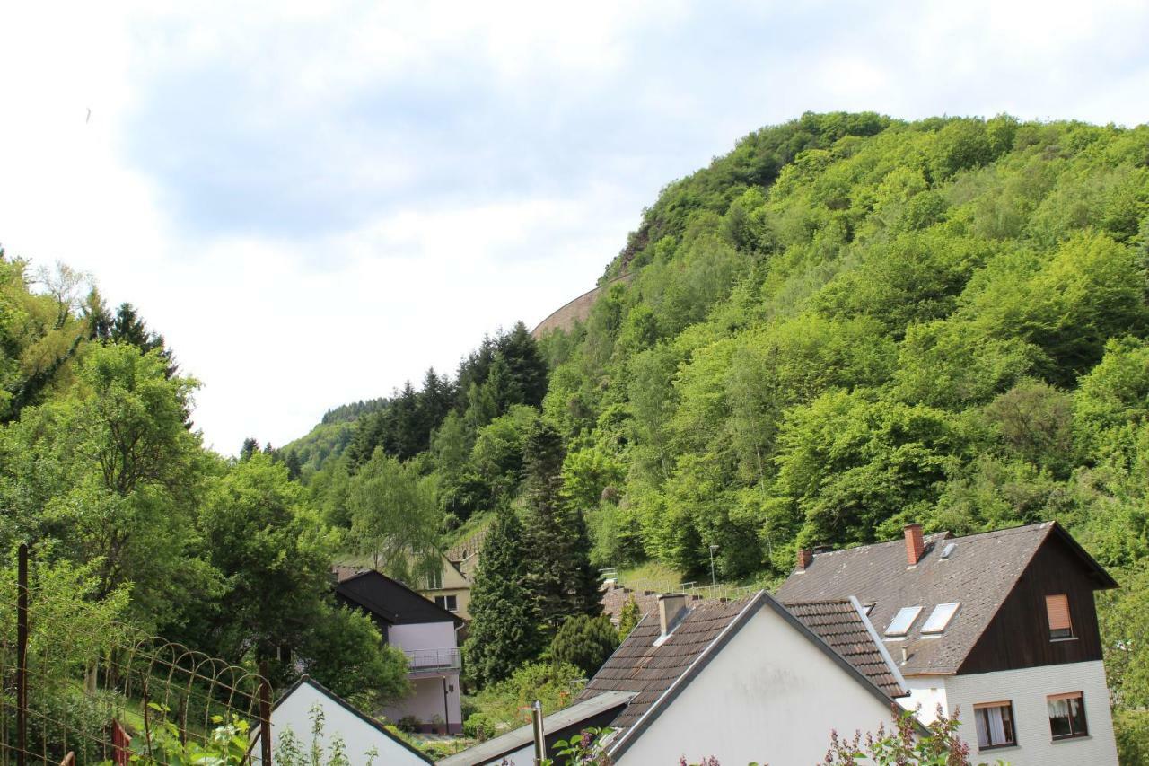 Haus Anne Apartment Cochem Exterior photo